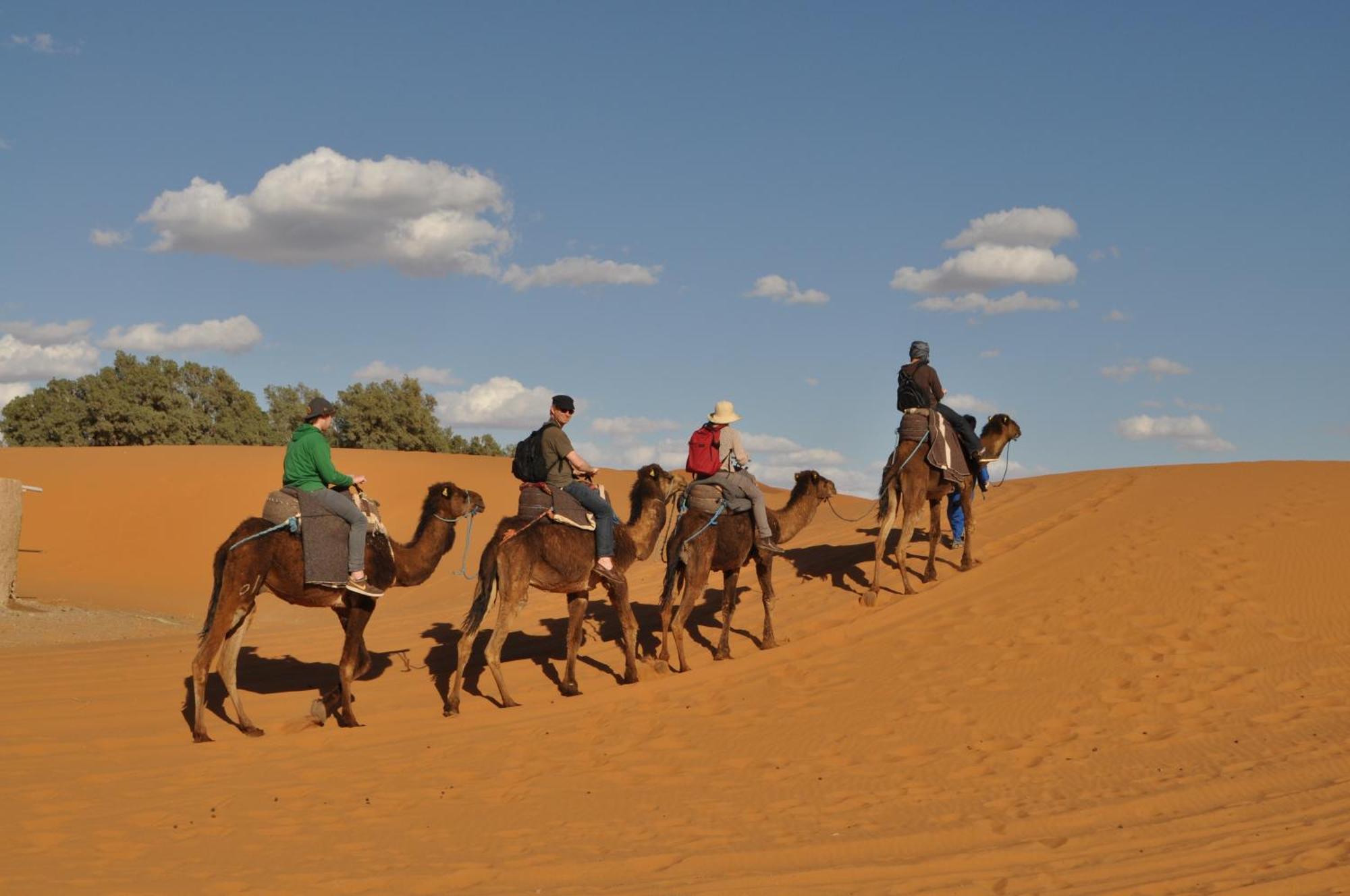 Riad Aicha & Camel Trekking เมอร์ซูกา ภายนอก รูปภาพ