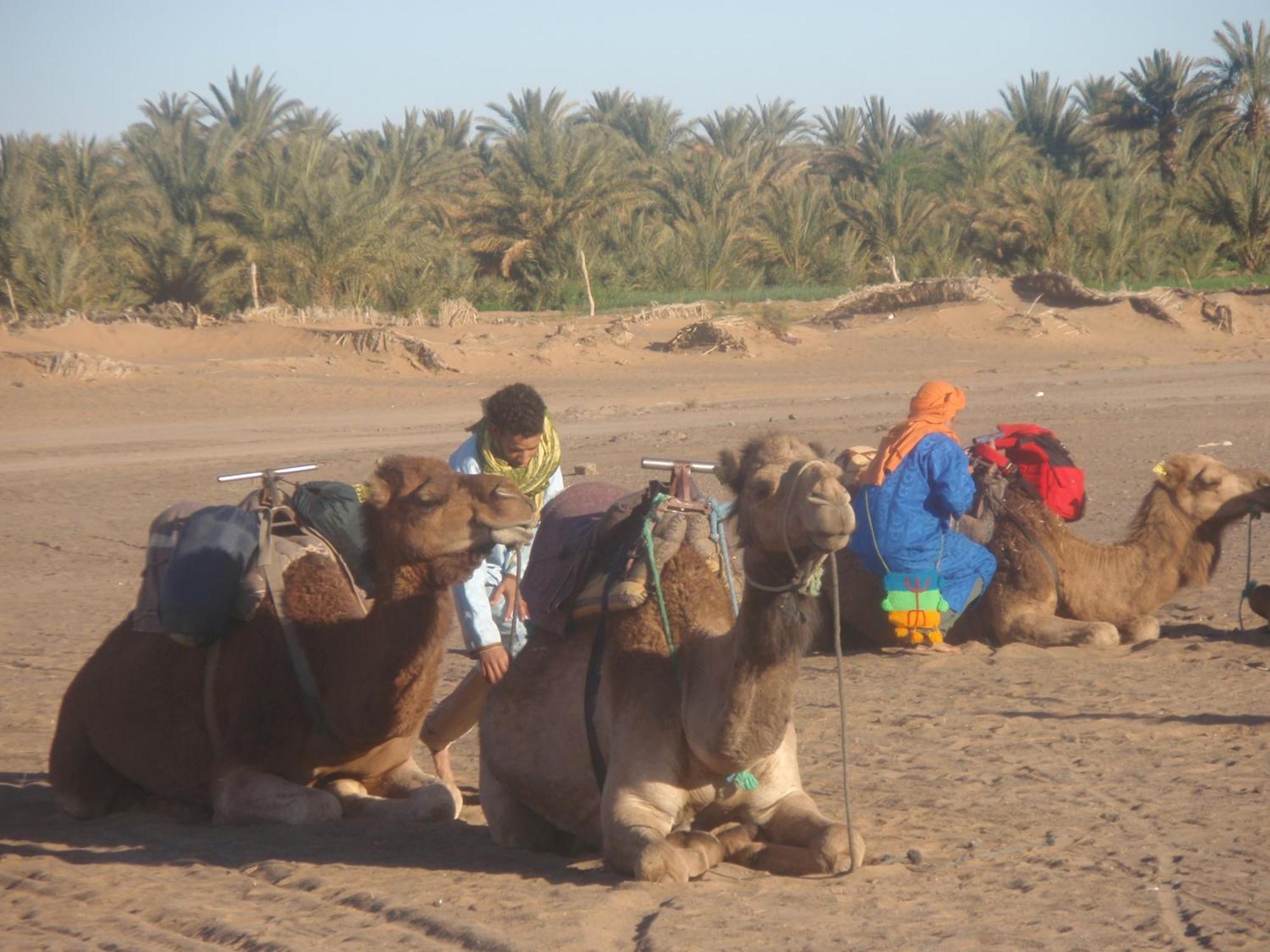Riad Aicha & Camel Trekking เมอร์ซูกา ภายนอก รูปภาพ