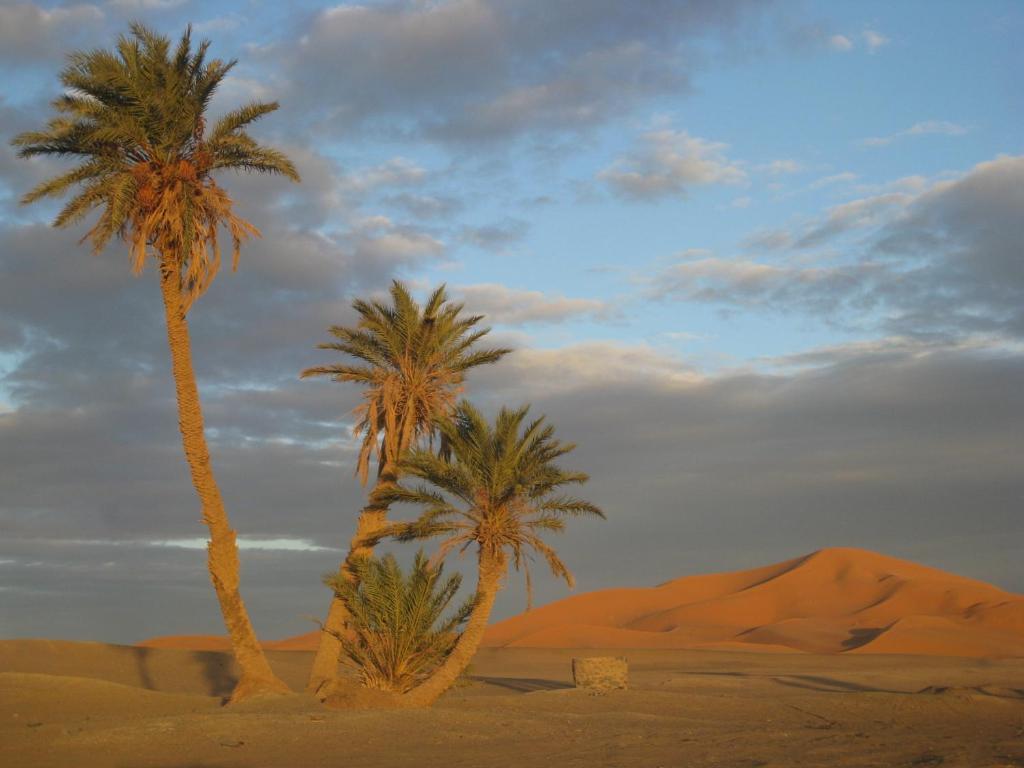 Riad Aicha & Camel Trekking เมอร์ซูกา ภายนอก รูปภาพ